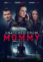  Ярость матери смотреть онлайн (2021) 
