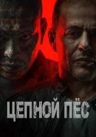  Цепной пёс смотреть онлайн (2024) 