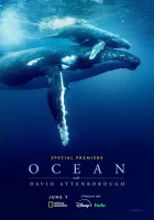 Дэвид Аттенборо: Океан смотреть онлайн (2025) 