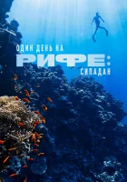  Один день на рифе: Сипадан смотреть онлайн (2024) 