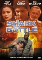  Акула в бутылке смотреть онлайн (1999) 