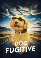  На поводке у проблем смотреть онлайн (2023) 