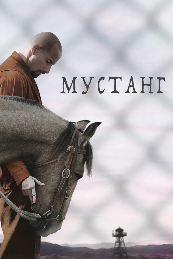  Мустанг смотреть онлайн без регистрации (2019) в хорошем HD качестве 